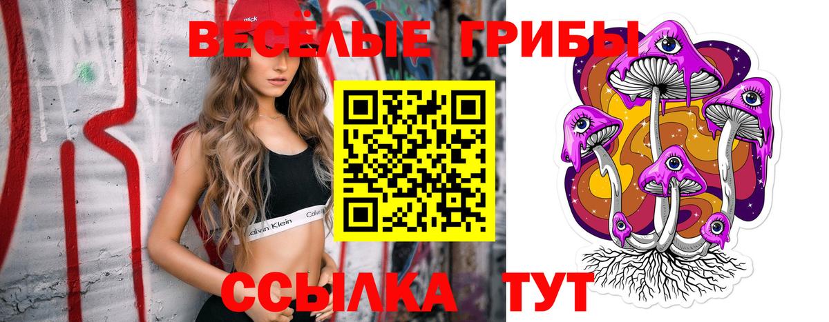 Ковров  Псилоцибиновые грибы прущие грибы  Вход с VPN 